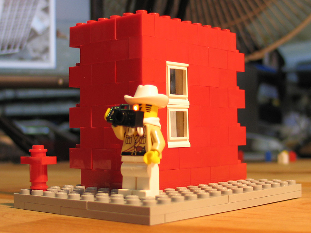 LEGO Artist Flashing Tourist